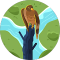 Mahmod S. Avatar