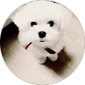 Milan Y. Avatar